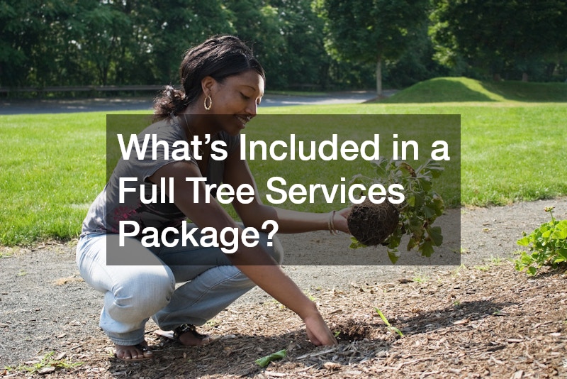 What’s Included in a Full Tree Services Package?